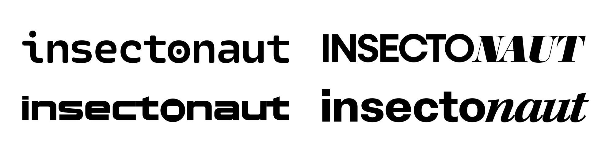 Insectonaut Logo